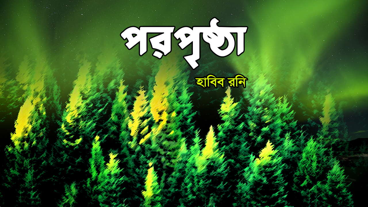 পরপৃষ্ঠাঃ হাবিব রনি